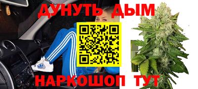шишки Братск
