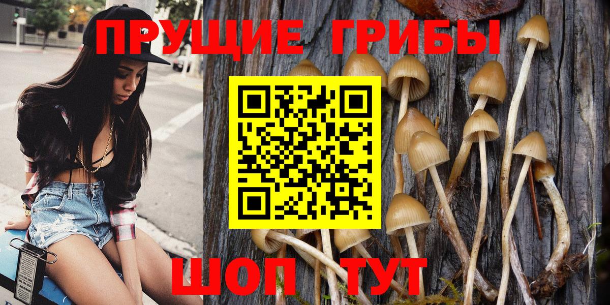 Балтийск  Псилоцибиновые грибы Magic Shrooms  Вход с VPN  Псилоцибиновые грибы мухоморы 
